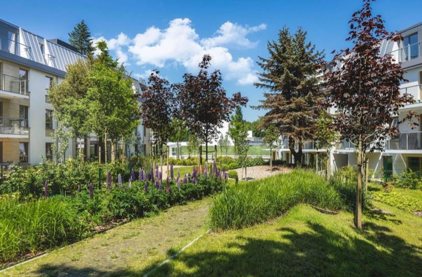 Eternity Luxury Apartment Dolny Sopoty Exteriér fotografie